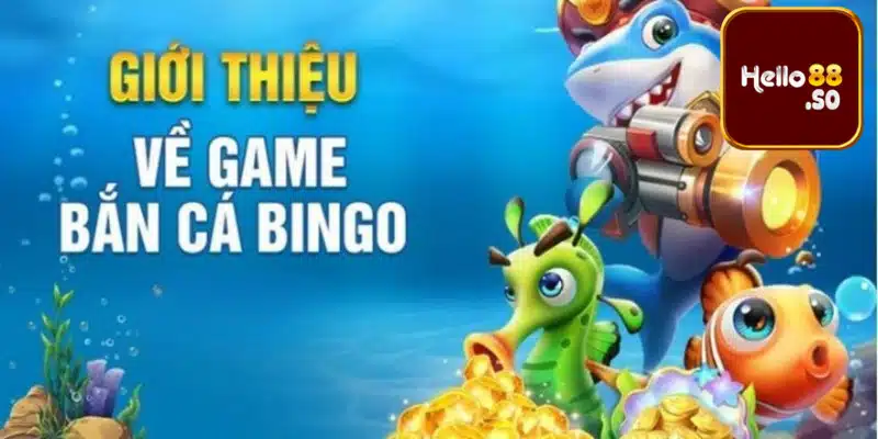 Bắn cá Bingo là gì?