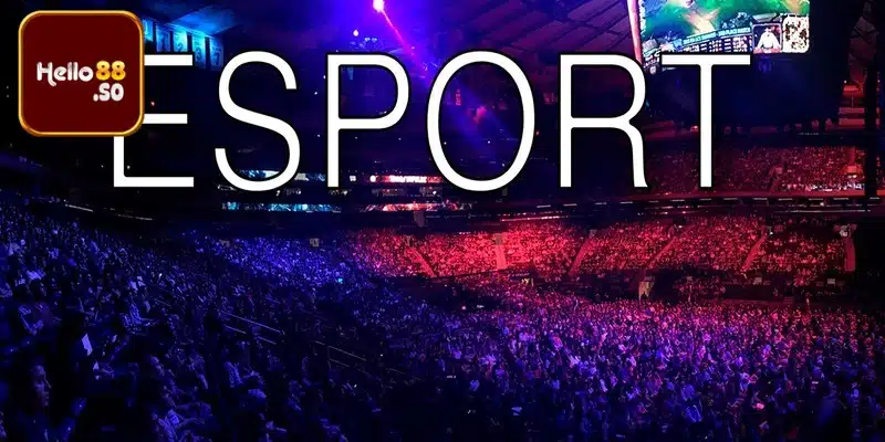 Sân chơi siêu mới về cược Esport cực kỳ hiện đại